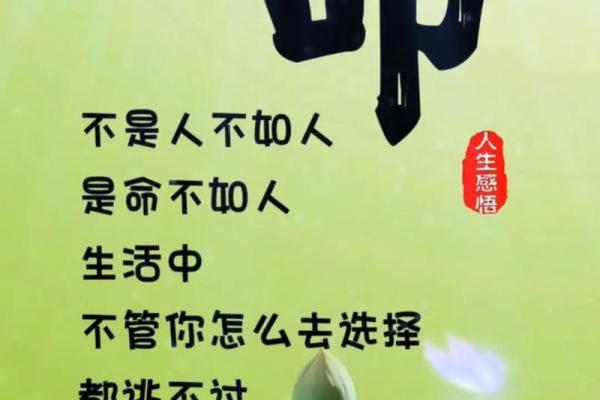 根据占卜揭示你的命格,发现人生秘密! 根据占卜揭示你的命格,发现人生秘密!