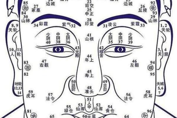 探索19951126的命理：揭示你的命运与潜力