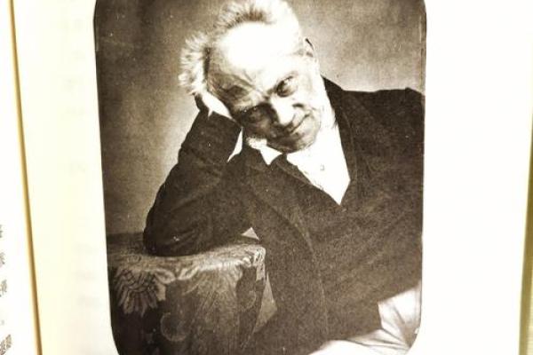 19801123命理解析：探寻人生的智慧与转机