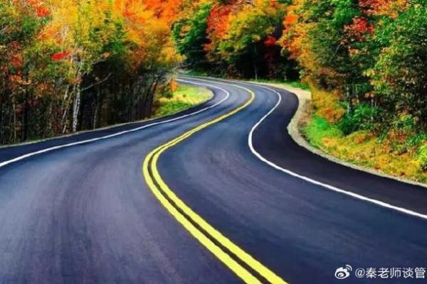 探秘2005年4月16日的命运之旅：星辰的指引与人生的选择