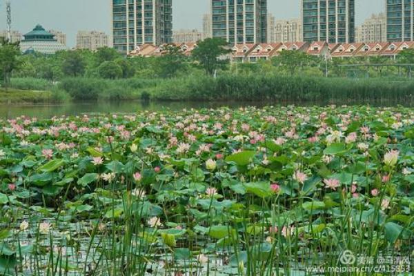 命重4.68,诗句与人生的美丽交响曲 命重4.68,诗句与人生的美丽交响曲