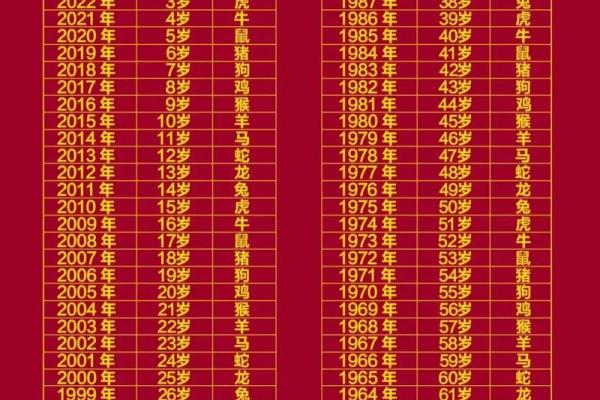 2024年属什么生肖？细说明年运势与命理解析