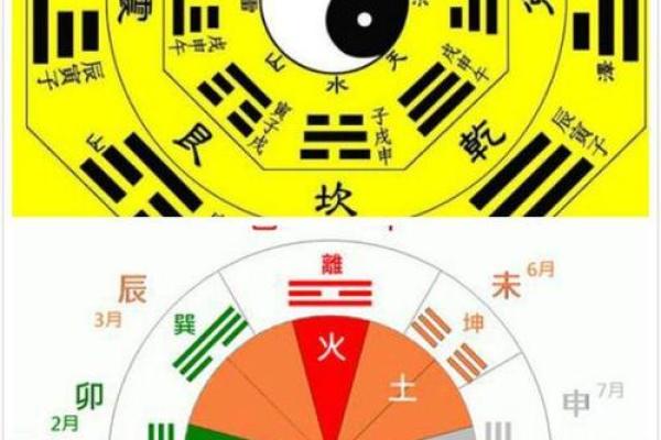 金命与火命如何选择最佳宝宝:为幸福家庭铺路的智慧 金命与火命如何选择最佳宝宝:为幸福家庭铺路的智慧