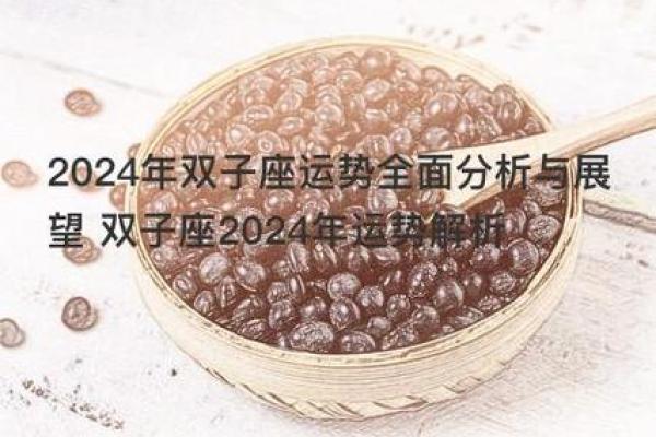 双子座命最好生肖剖析：那些与智慧齐飞的动物们