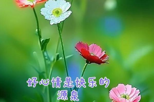 74年大溪水命：情感丰富的人生旅程与灵魂探索