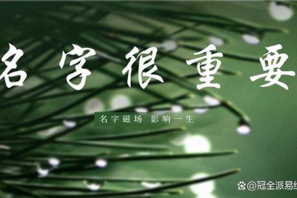 1992年出生的命运与颜色：七彩人生的意义探寻