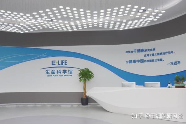 19971013生人的命运解析：揭示生命的奥秘与启示