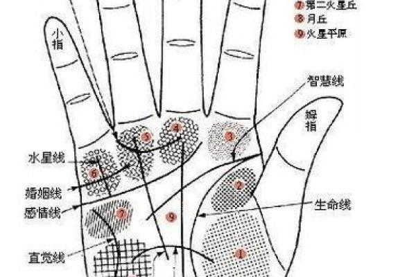男人双手断掌,命运潜藏的秘密与解读 男人双手断掌,命运潜藏的秘密与解读