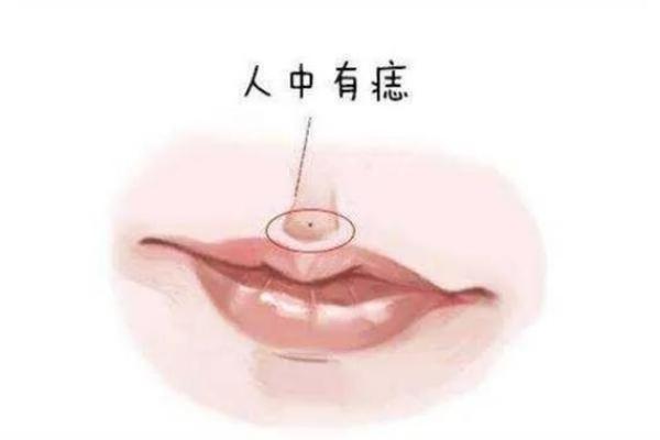 相学中鼻孔外翻的命理解析与性格特征