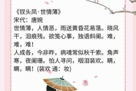 句句桃花带来春，情感之路如何走？
