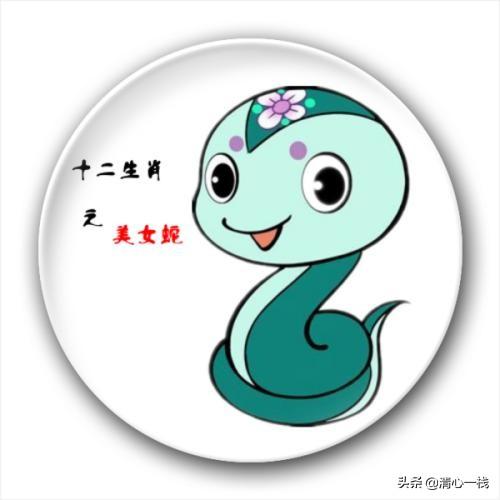 属蛇今日求财最佳时间