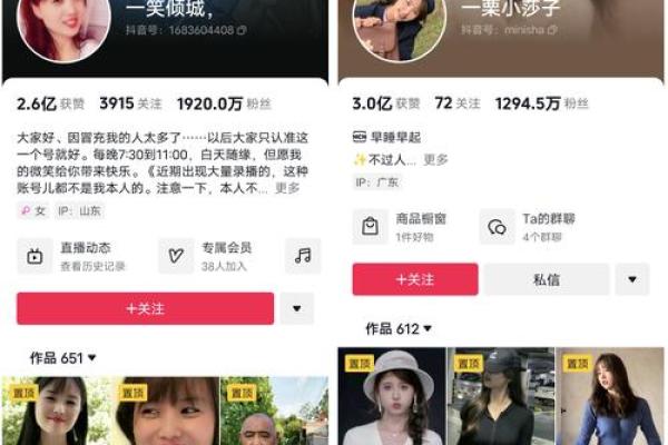 《胖子续命：笑与泪交织的奇幻旅程》