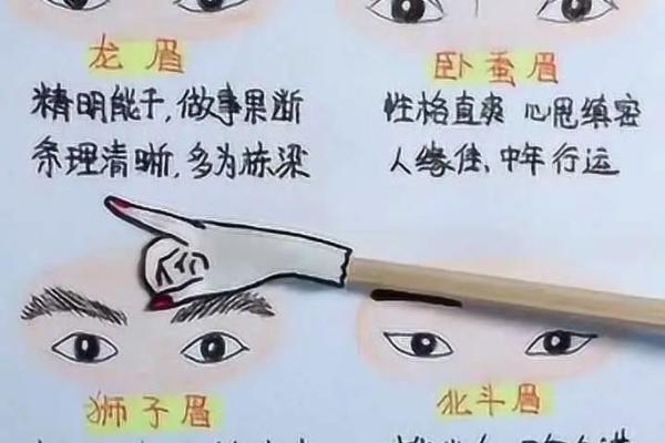 眉毛相连的人命运揭秘：深藏的性格与运势