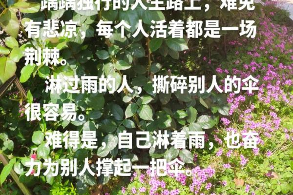 揭开命格奥秘：为何长相柔弱的人生路更为顺遂？
