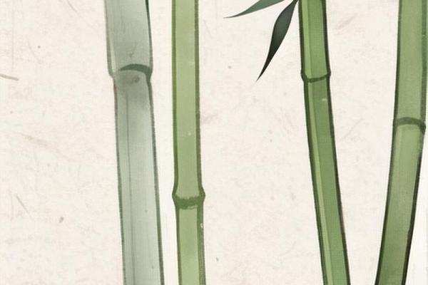 木林命适合佩戴哪些水晶，提升运势与气运？
