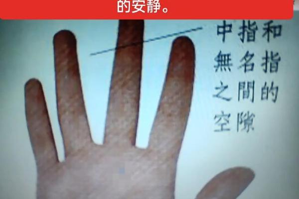 如何分辨手相的命运，轻松解锁人生密码！
