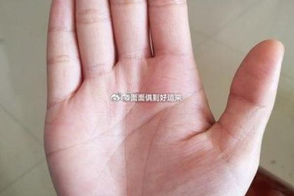 如何分辨手相的命运，轻松解锁人生密码！