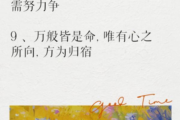 四十六命男的命运与生活智慧探究