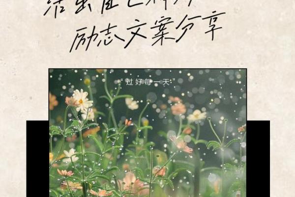 穿梭于性别之间：女儿身的男儿路，活出自己的精彩人生