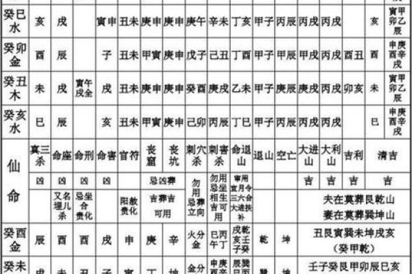 庚寅仙命：适合的方向与人生规划智慧