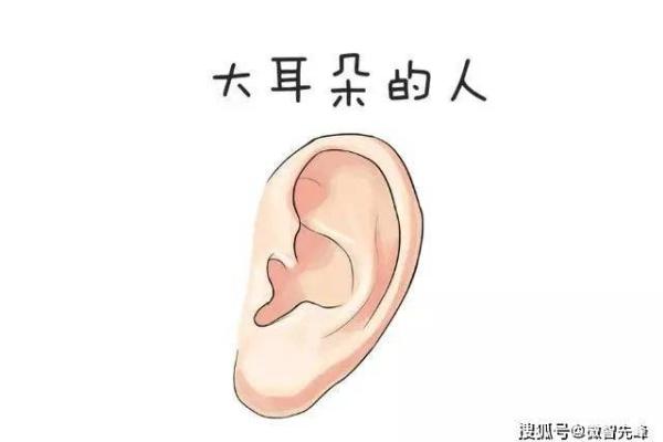 耳朵小的人是什么命？探秘小耳朵背后的命理之道！