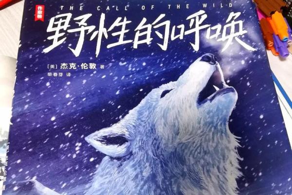 抛弃的命运：从孤独中寻找希望与重生的力量