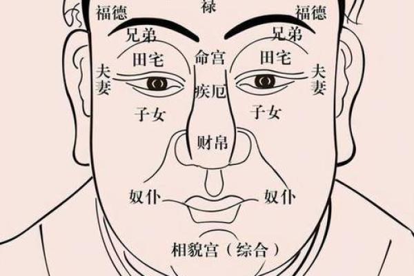 眉毛轻的人是什么命 解读眉相与人生轨迹的关系