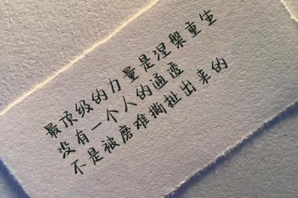 抛弃的命运：从孤独中寻找希望与重生的力量