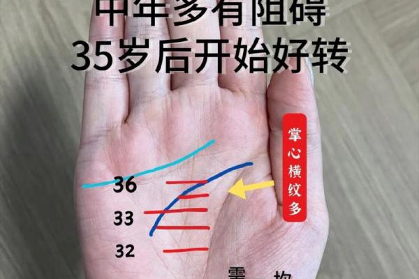 女命流年伤财解析：带你揭秘命理中的财富与运势关系