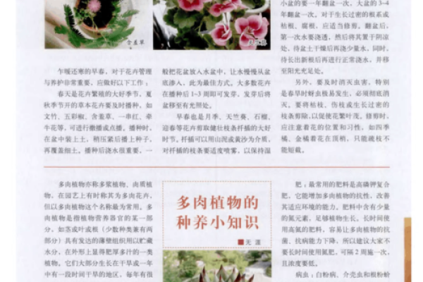 适合金命人的植物选择与养护指南