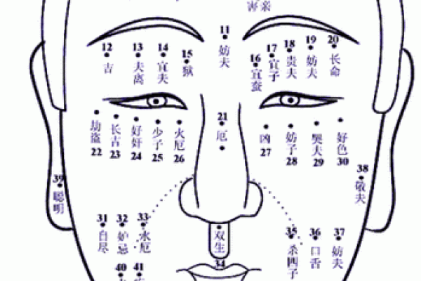 面相痣的奥秘：从痣的位置揭示你的命运与性格