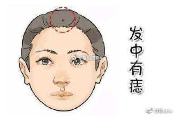 根据出生年份解读命运，揭示你与生俱来的特质