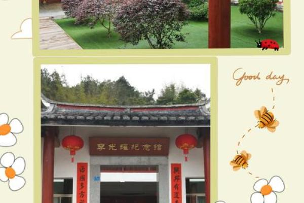 探秘3.0女命：命运与性格的深刻解析