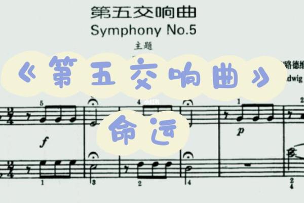 2020年正月十七：探寻幸福的星辰与命运的交响曲