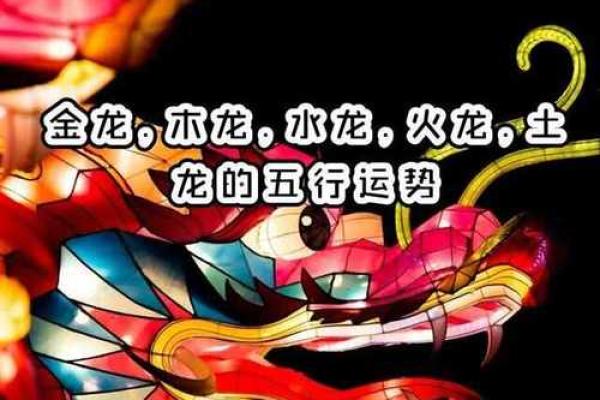 火龙命的五行之旅：适合的个性化钱包选择与搭配建议