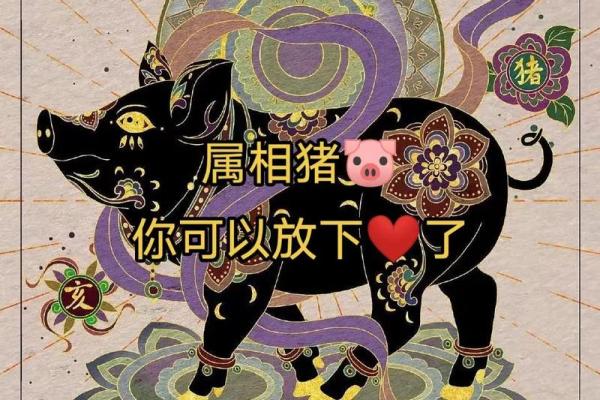 2020年出生的猪生肖命运分析与生活指南