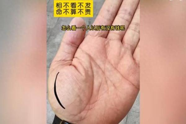 揭示财富与命运：破解土豪命男人的手相奥秘
