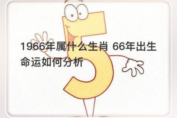 揭秘1993年出生的水命：掌握命运的水元素之道