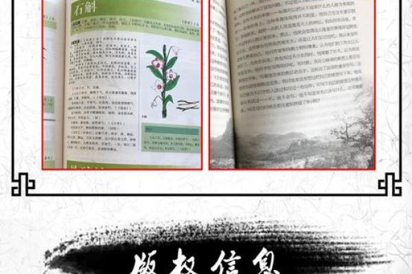 1990年正月十六：探索命理与人生的智慧之旅