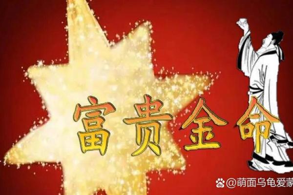 金命生肖：揭秘金命人的性格特征与命运之路