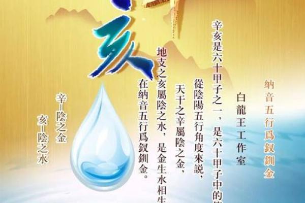 1985年命男士的生活与性格特征分析