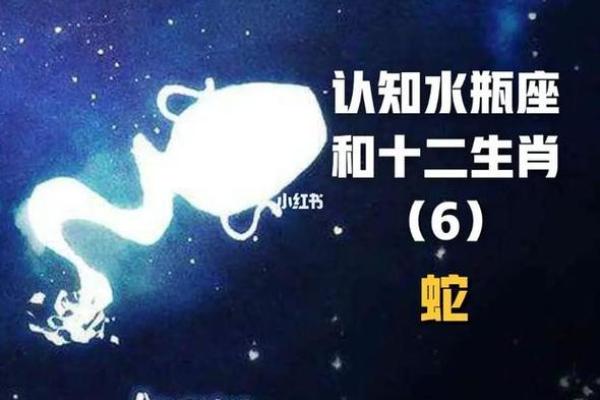 冬月蛇命的神秘与魅力：探索1953年出生者的性格与命运