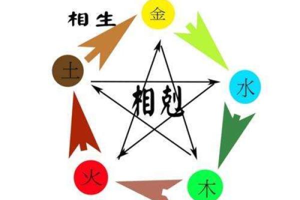探秘木命人的五行之旅：适合的方向与人生路径