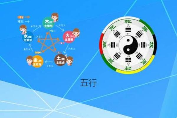 探秘木命人的五行之旅：适合的方向与人生路径