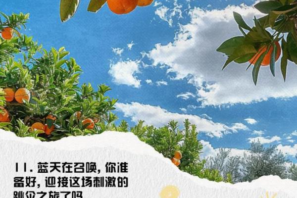 搏命单刀：在极限中迎接挑战的勇士心态