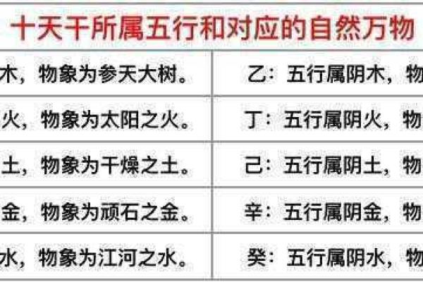 命理学中的人物象征：解读五行背后的个性与命运