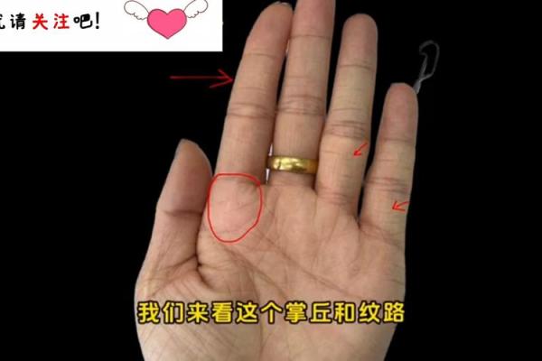 通过手掌纹理看你的富贵命，揭秘命运的秘密！