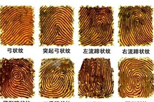 1965年属龙人的命运分析：探索财富与幸福的奥秘