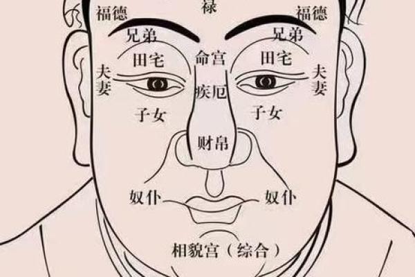 1977年出生人士的命运与性格解析：展现独特魅力与潜力