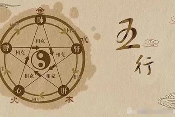 探秘61与62的命理奥秘：你是否也在与他们同行？